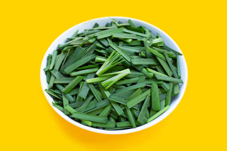 Fresh Chinese Chive leaves in white bowl on yellow background.の写真素材