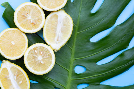 Lemon on green leaf on blue background.