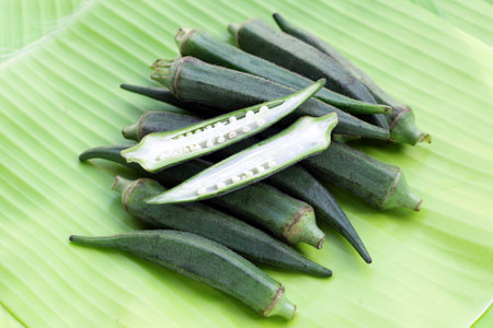 Fresh okra on banana leavesの写真素材