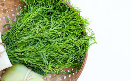 Climbing Wattle or Acacia leaves in bamboo basket on white backgrond.の写真素材