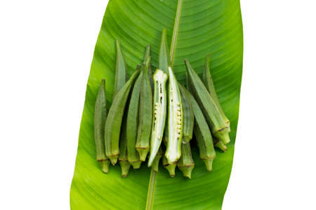 Fresh okra on green leafの写真素材