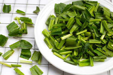 Culantro or sawtooth coriander in plate on white background.