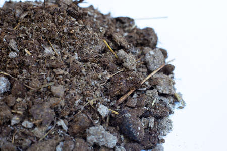 Dry cow dung, Close up