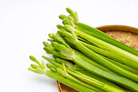 Limnocharis flava in bamboo weave plate on white background.の写真素材