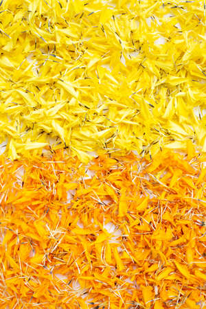 Marigold flower petals on white background.