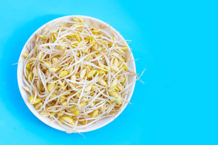 Fresh soybean sprouts for cooking.の写真素材