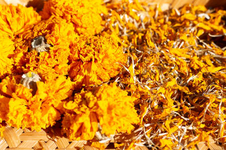 Dried petals of marigold flower