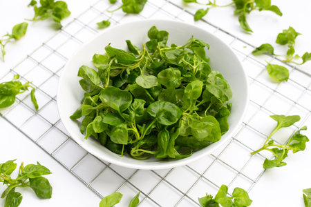 Watercress isolated on white backgroundの写真素材
