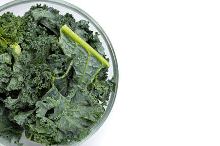 Kale leaves on white background.の写真素材