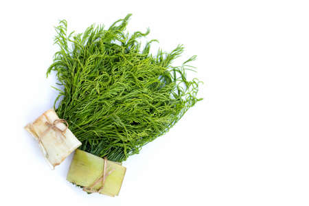 Climbing Wattle or Acacia leaves on white backgrond.の写真素材