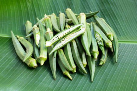 Fresh okra on banana leaf