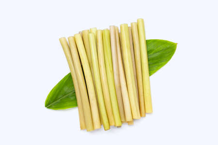 Lotus stem on white background.の写真素材