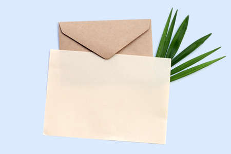 Envelope with blank paper on palm leaves on white background.の写真素材