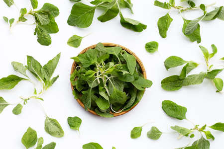 Green spinach on white background. Top viewの写真素材