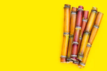 Sugar cane on yellow background.の写真素材