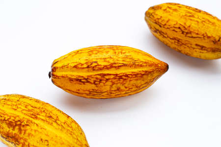 Cocoa fruit isolated on white background