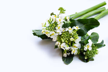 Green baby broccoli with chinese kale flower on white background.の写真素材