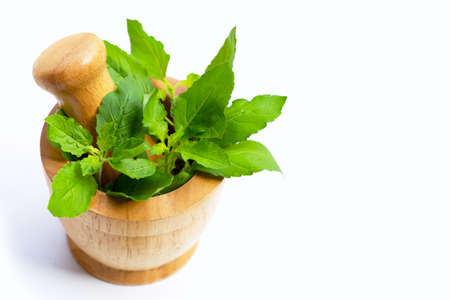 Holy basil leaves in wooden mortar with pestle on white background.の写真素材