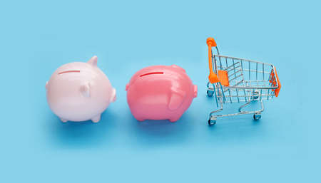 Pink piggy bank with shopping cartの写真素材