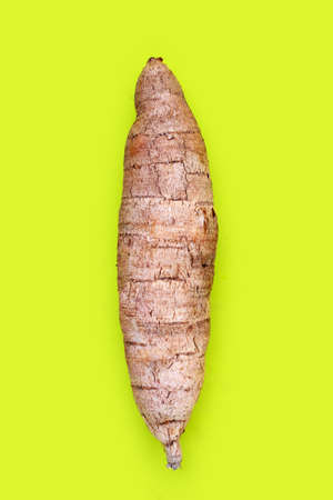 Fresh Cassava root on green background.の写真素材
