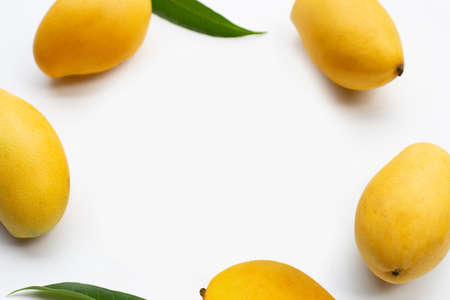 Tropical fruit, Frame made of mango on white background.