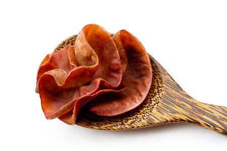 Black fungus mushroom on white background.の写真素材