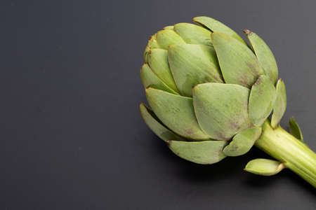 Fresh artichoke on dark backgroundの写真素材
