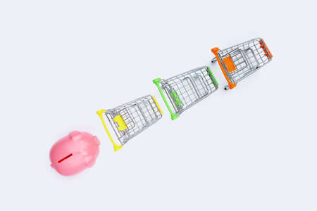 Pink piggy bank with shopping cart