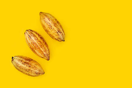 Cocoa fruit isolated on yellow backgroundの写真素材