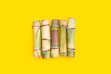Sugar cane on yellow background.