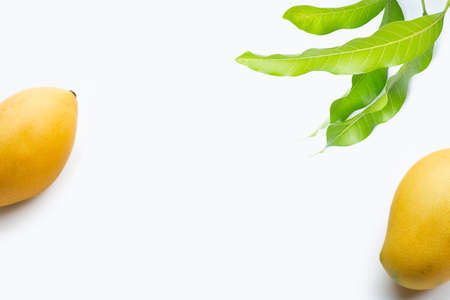 Tropical fruit, Frame made of mango with leaves on white background.
