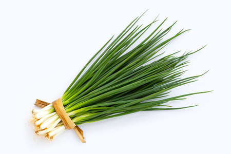 Spring onions on white background