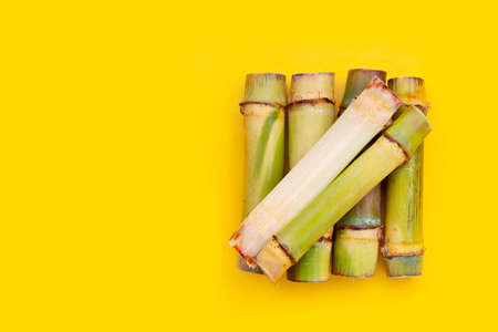 Sugar cane on yellow background.