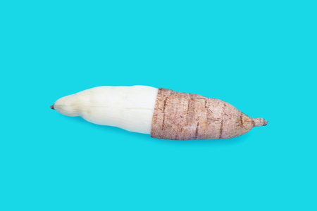 Cassava on blue background. Copy spaceの写真素材