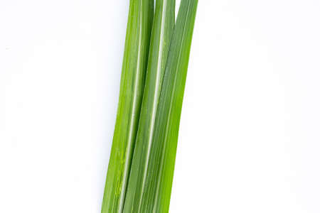 Sugar cane leaves on white background.の写真素材
