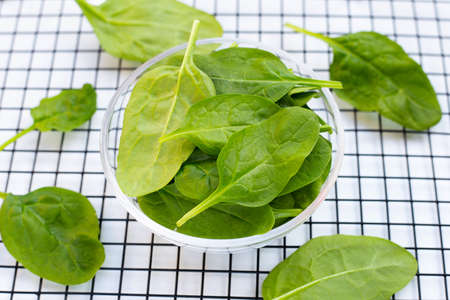 Spinach leaves. Extremely nutrient-rich vegetableの写真素材