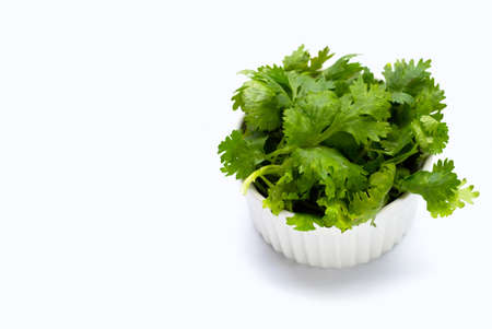 Fresh coriander leaves on white background.
