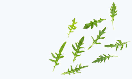Fresh green rocket salad on white background.の写真素材
