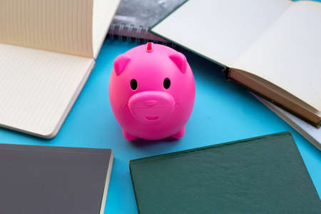 Pink piggy bank with booksの写真素材