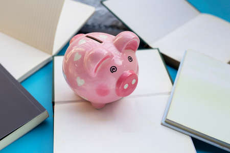 Pink piggy bank with books