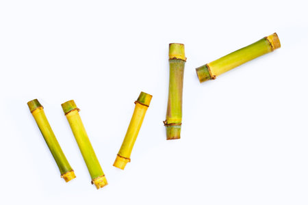 Sugar cane on white background.