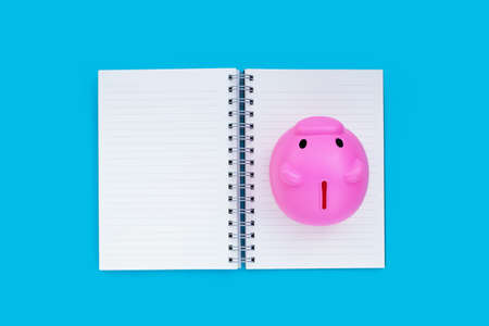 Pink piggy bank on notebook on blue background.の写真素材