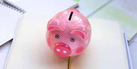 Pink piggy bank with booksの写真素材
