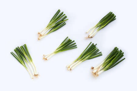 Spring onions on white backgroundの写真素材