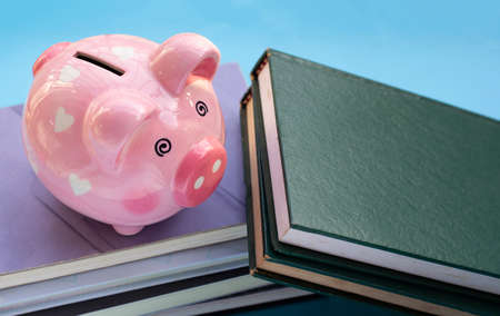 Pink piggy bank with booksの写真素材