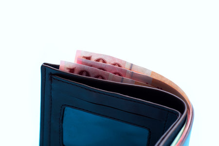 Brown wallet on white background