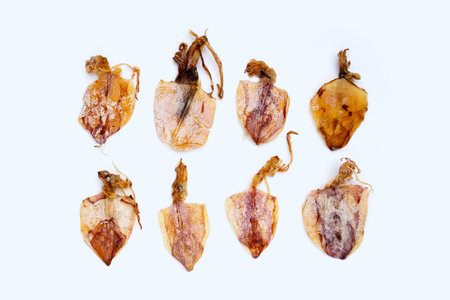 Dried squid on white background.の写真素材
