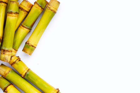 Sugar cane on white background.