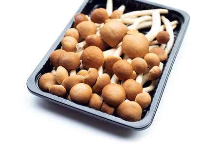 Yanagi Matsutake mushroom on white background.