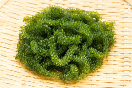 Sea grape seaweed in bamboo plate